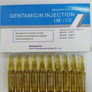 GENTAMIC IN  80MG  INJ.  X  10