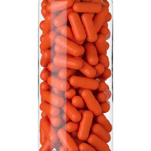 7-Keto DHEA Capsules