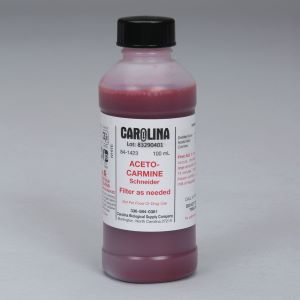 ACETO CARMINE