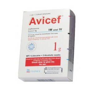 Avicef 1g