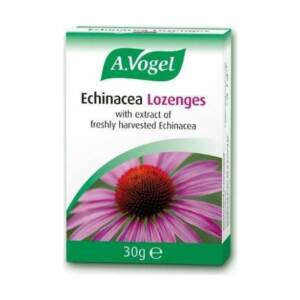 BF ECHINACEA LOZENGES