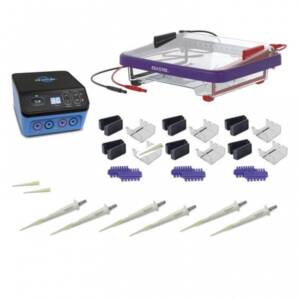 Electrophoresis Class Set