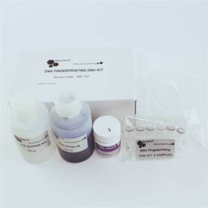 DNA Fingerprinting DNA Kit