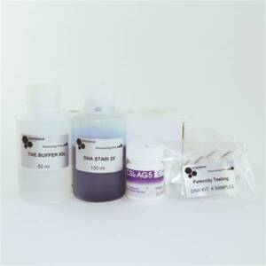 Paternity Testing DNA Kit