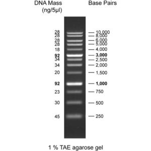 1Kbp DNA ladder, 250-10Kb