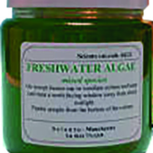 Mixed Algae