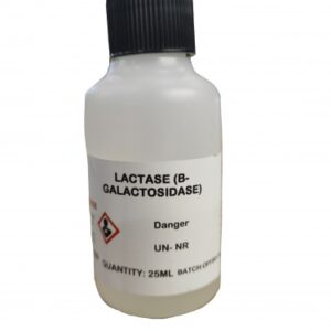 Lactase B-Galactosidase