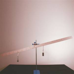 Hanging Balance Beam Set