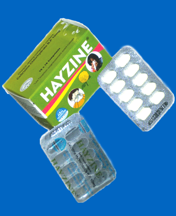 HAYZINE TABLET 10 MG X 100