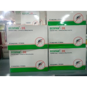 ECOFAN DS