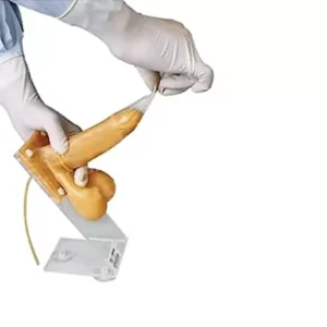 A-ONE SCIENCE Life Size Skin Color PVC Male Condom Training Model AOSBM104