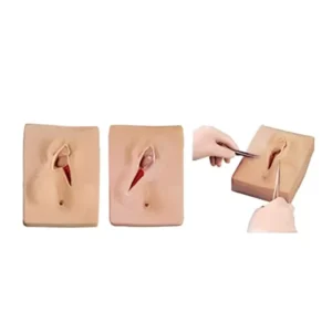 A-ONE SCIENCE Skin Color PVC Vulva Suturing Training Simulator Model AOSBM203
