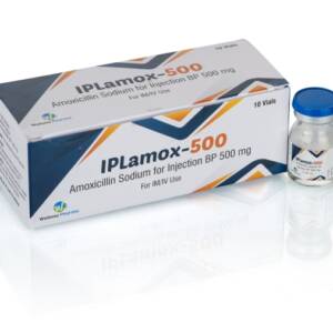 Amoxicillin Sodium Injection 500mg