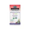 Garden of Life Dr. Formulated Brain Health Attention & Focus Kids