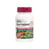 Natures Plus Herbal Actives Hawthorne 300mg 3.2% Vitexin
