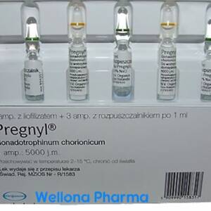 Pregnyl