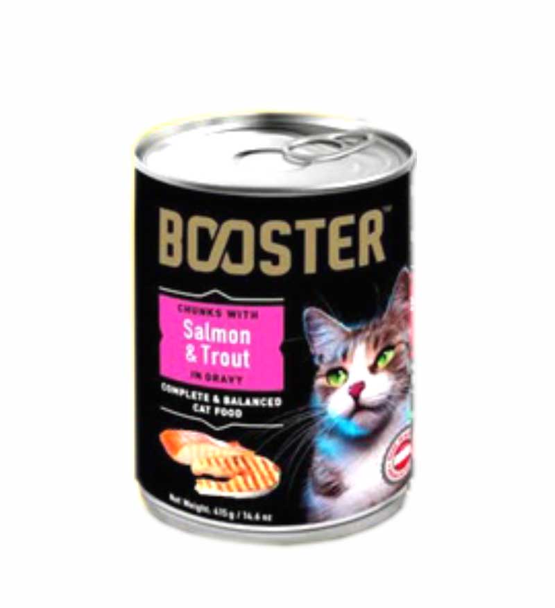 Booster cat can food