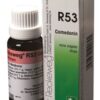 Dr. Reckeweg R 53 Acne Vulgaris.Rash at Puberty - 22 ML