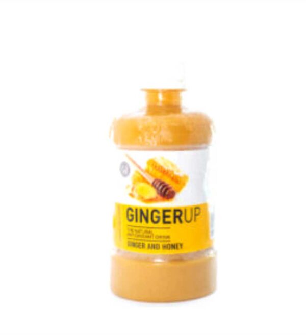 Ginger Up Drink 500mls