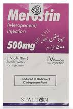 MEROSTIN 500MG INJ 1'S