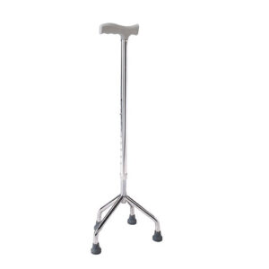 WALKING STICK 5922
