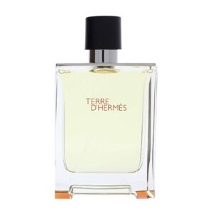 Hermes Terre D'herm?s Herm?s EDT For Men ? 100ml