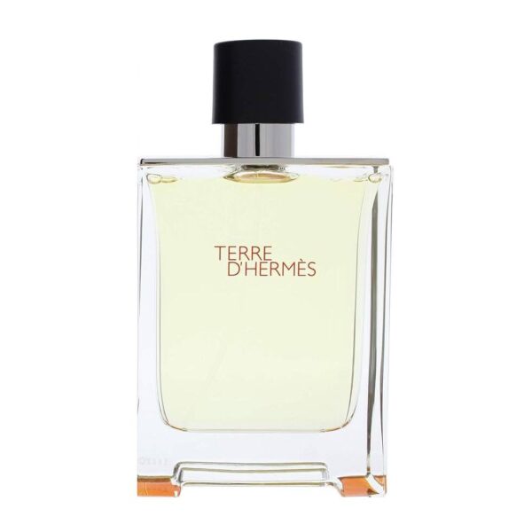 Hermes Terre D'herm?s Herm?s EDT For Men ? 100ml