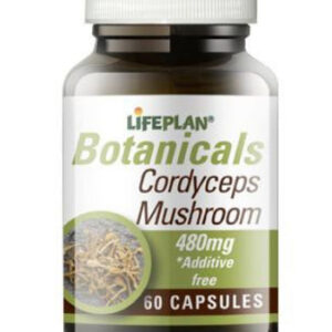 LIFEPLAN BOTANICALS CORDYCEPS MUSHROOM 480MG, 60 CAPSULES