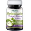 LIFEPLAN BOTANICAL GINKGO BILOBA