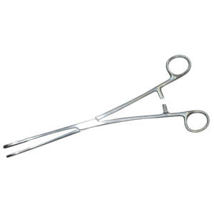 Allschoolabs Ramply Ring Ovum with Oval Jaws 10? Straight