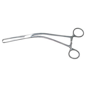 Allschoolabs Bierer Tenaculum