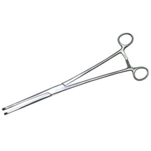 Allschoolabs Hern-Patterson Ovum Forceps