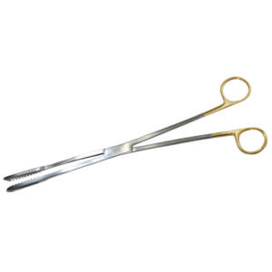 Allschoolabs Jacobson Ovum Forceps
