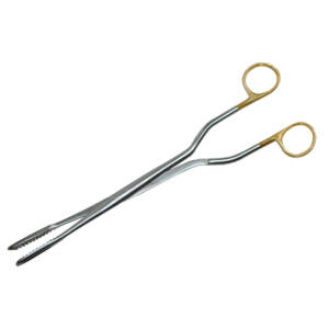 Allschoolabs Meltzer Ovum Evacuation Forceps  13? with 19mm Jaws