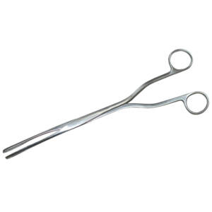 Allschoolabs Hern Van-Lyth Ovum Forceps