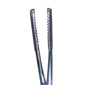 Allschoolabs West-Gluck Ovum Forceps 11?