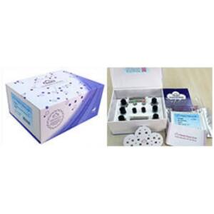 ELISA for Acetylcholinesterase (ACHE) GE 96T