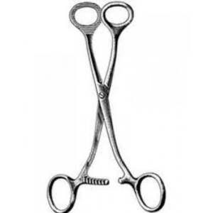 Collin Tongue Holding Forcep Length = 19 cm / 7- 1/2