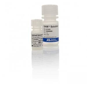 BIGDYE XTERMINATOR KIT 2ML EACH