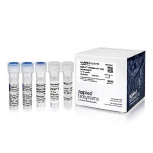 BDT V3.1 RR-100 & SEQ BUFFER EACH
