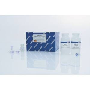 QIAquick PCR Purification Kit (250)