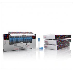 DTT (Dithiothreitol), No-Weigh? Format