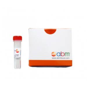 MegaFi? Fidelity 2X PCR Master Mix 800 rxn (10.0 ml)