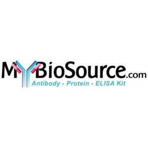 Aflatoxin B1 (AFB1) ELISA Kit 96 TEST