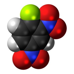 1-Fluoro-nzene-12,4-dinitrobe