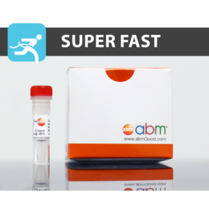 2X Blastaq? PCR Taq MasterMix 10.0 ml (800 Rxns)