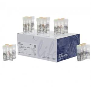 AmpFLSTR? Identifiler? Plus PCR Amplification Kit