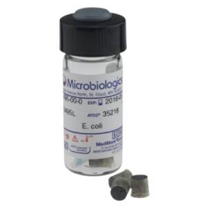Aggregatibacter Aphrophilus derived from ATCC? 7901, Pack of 6