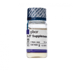 B-27 Supplement (50X), serum free, 100 mL