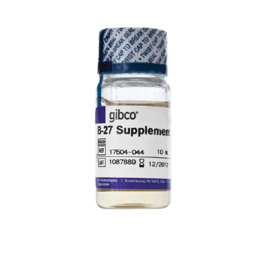 B-27 Supplement (50X), serum free, 100 mL